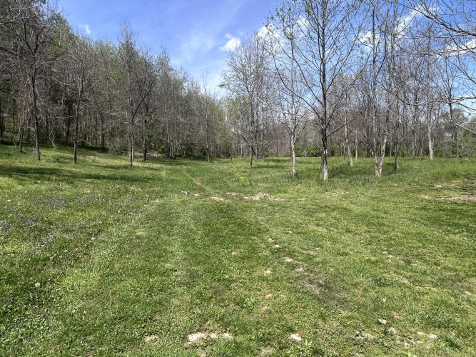 Listing Image 8