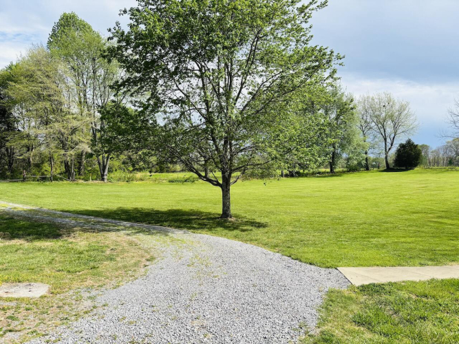 Listing Image 30