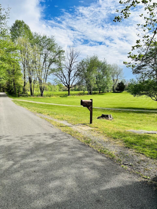 Listing Image 32