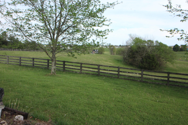 Listing Image 49