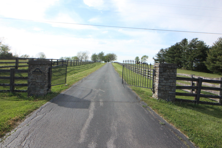 Listing Image 53