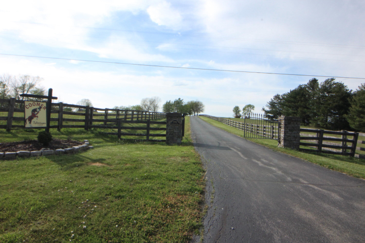 Listing Image 54