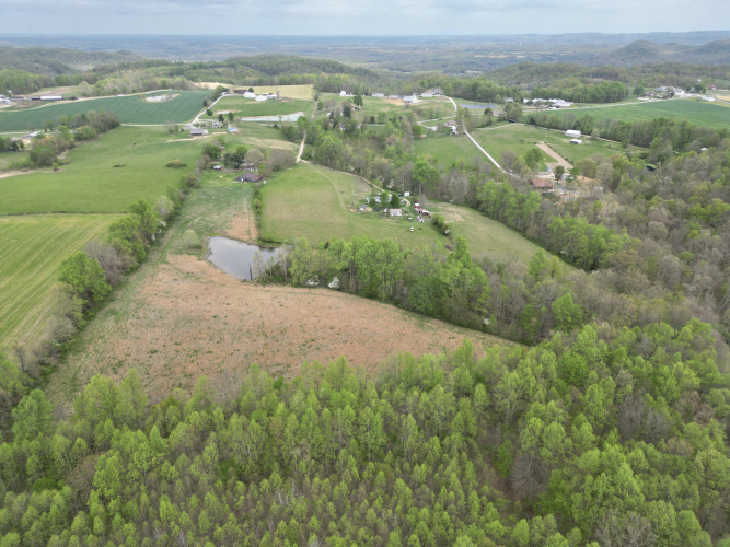 Listing Image 5