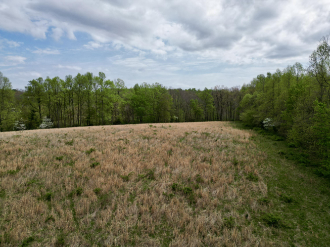 Listing Image 47