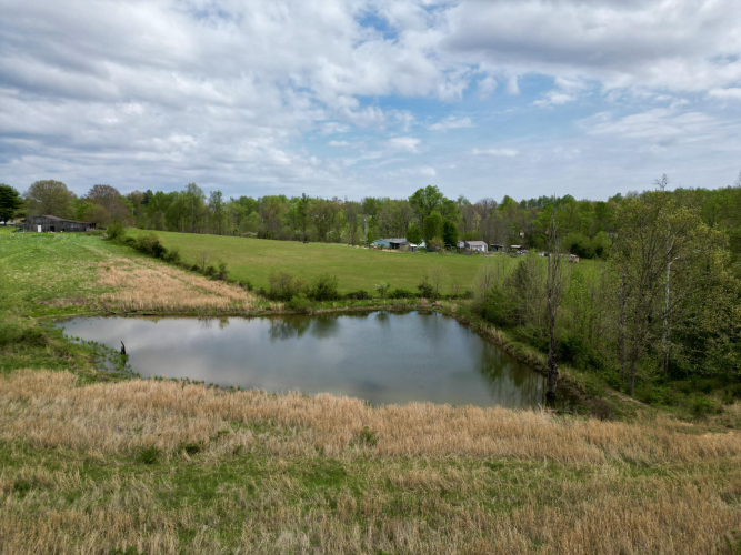 Listing Image 48