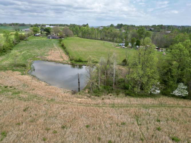 Listing Image 49