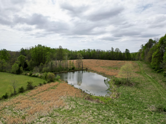 Listing Image 52