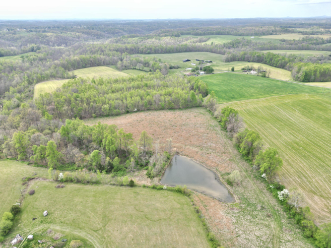 Listing Image 53