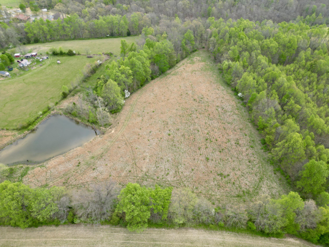Listing Image 54