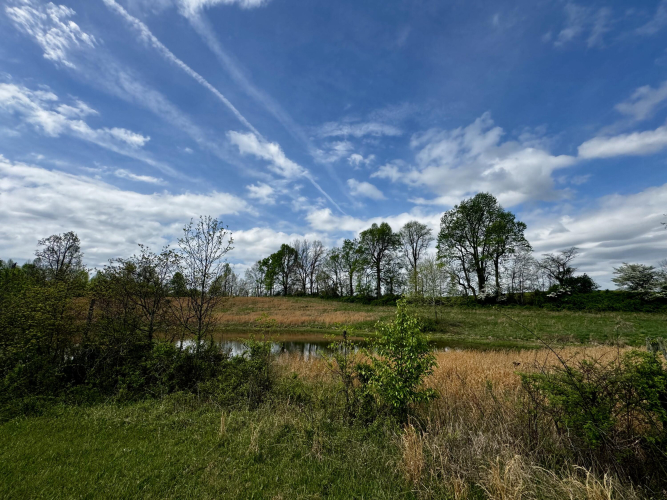 Listing Image 56