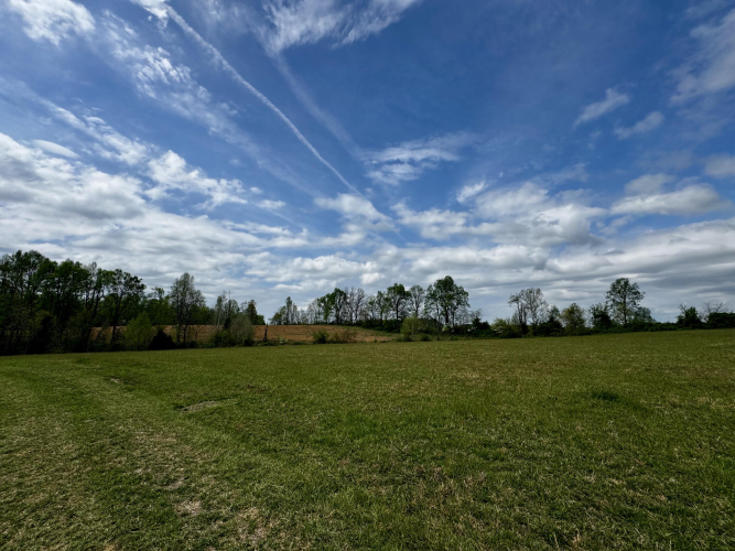 Listing Image 57