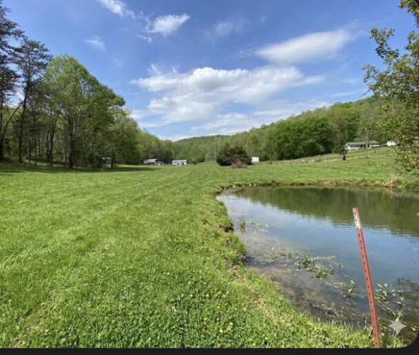 Listing Image 14