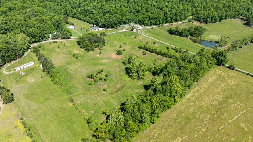 Listing Image 61