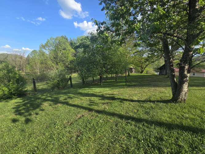 Listing Image 29