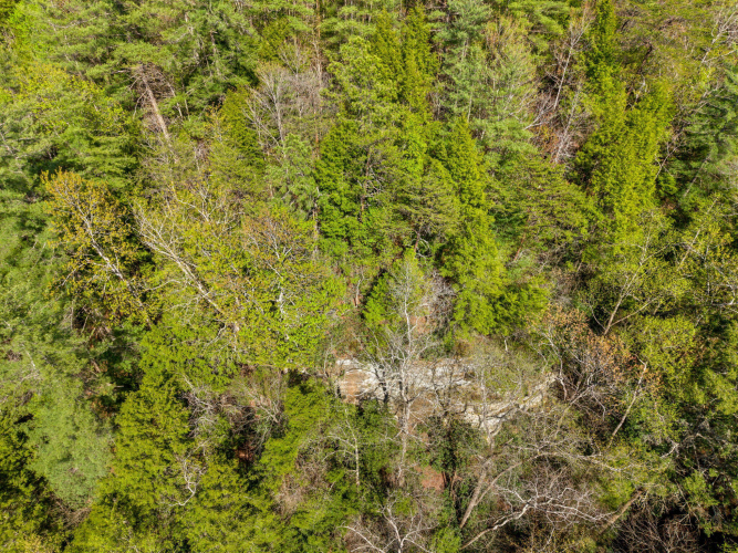 Listing Image 36