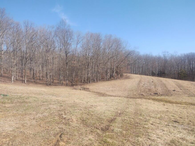 Listing Image 8