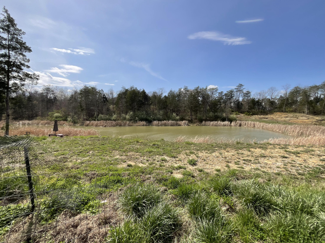 Listing Image 41