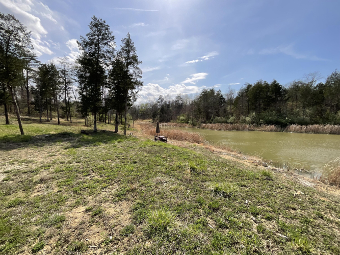 Listing Image 42