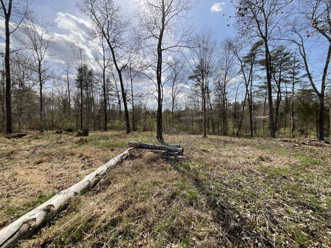 Listing Image 51