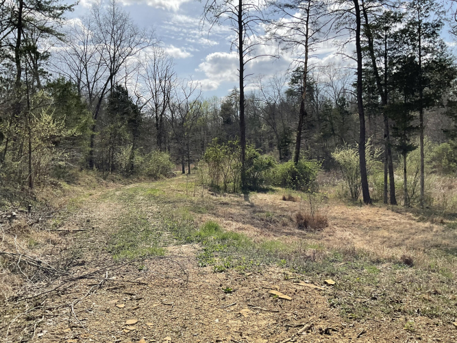 Listing Image 53