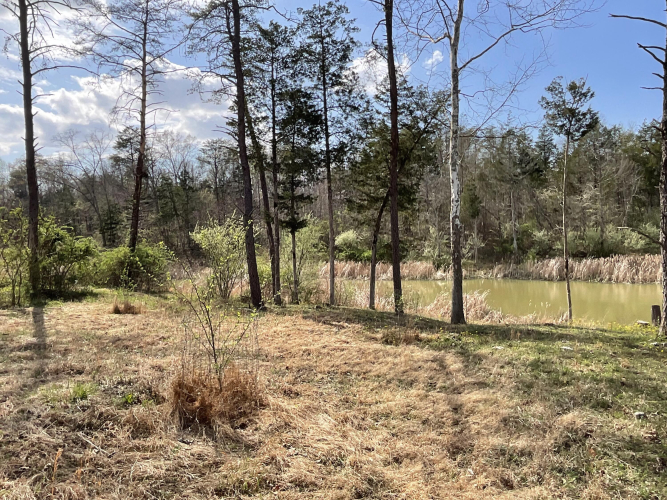 Listing Image 54