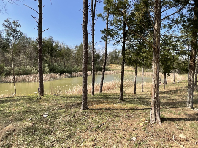 Listing Image 55