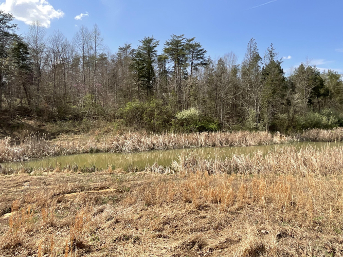 Listing Image 56