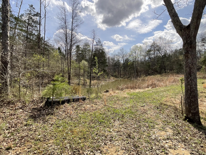 Listing Image 57