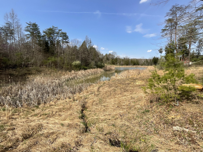 Listing Image 58