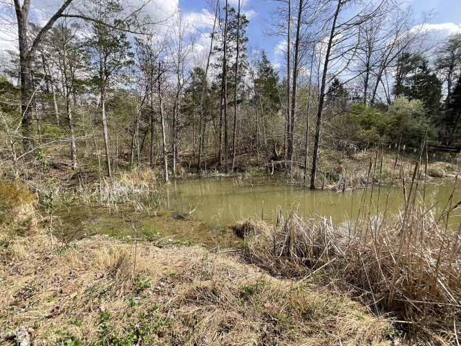 Listing Image 60