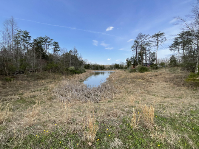 Listing Image 61