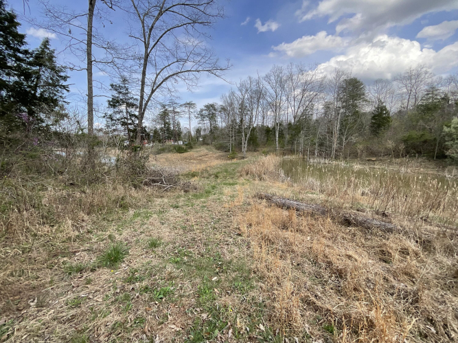 Listing Image 62