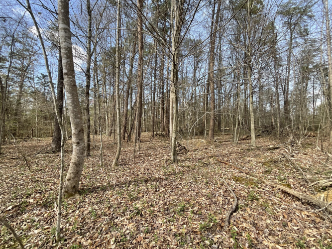 Listing Image 63