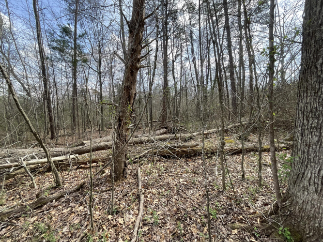 Listing Image 65