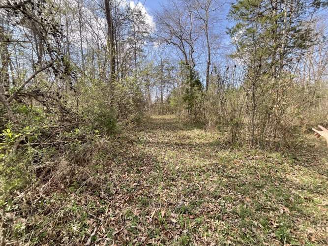 Listing Image 66