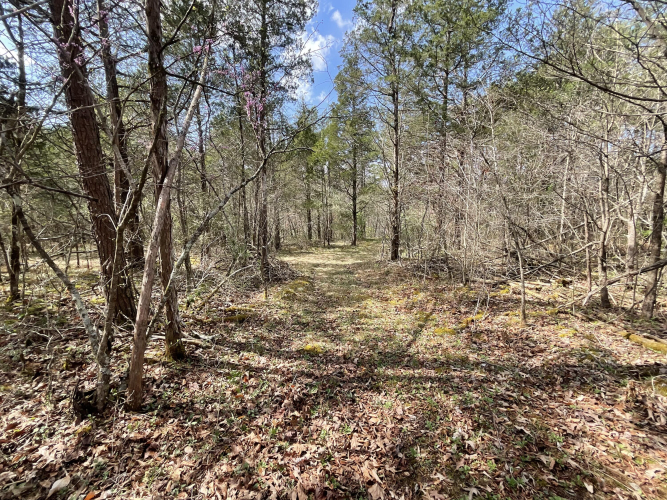 Listing Image 67