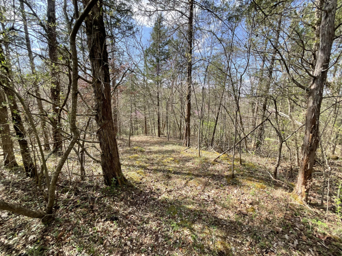 Listing Image 68