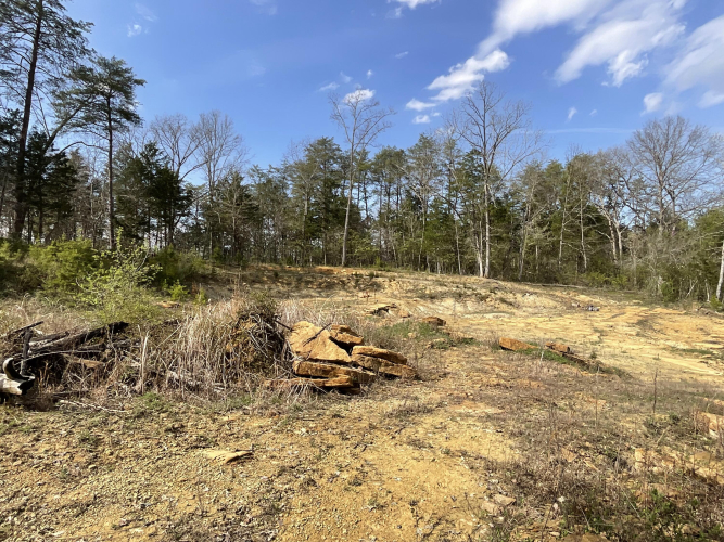 Listing Image 69