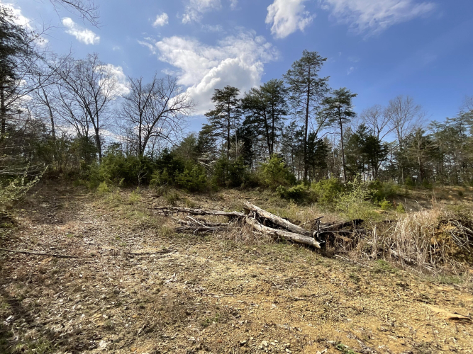 Listing Image 70