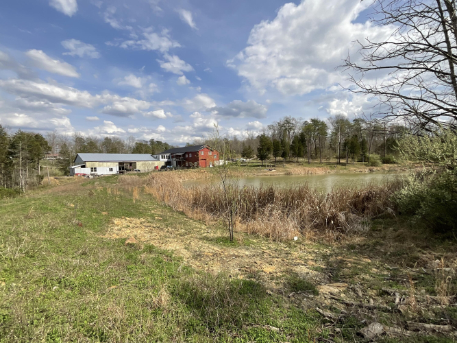Listing Image 71
