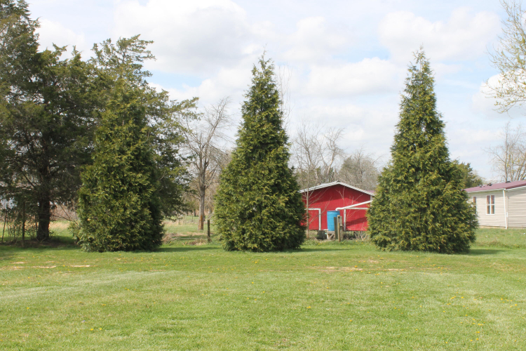 Listing Image 7