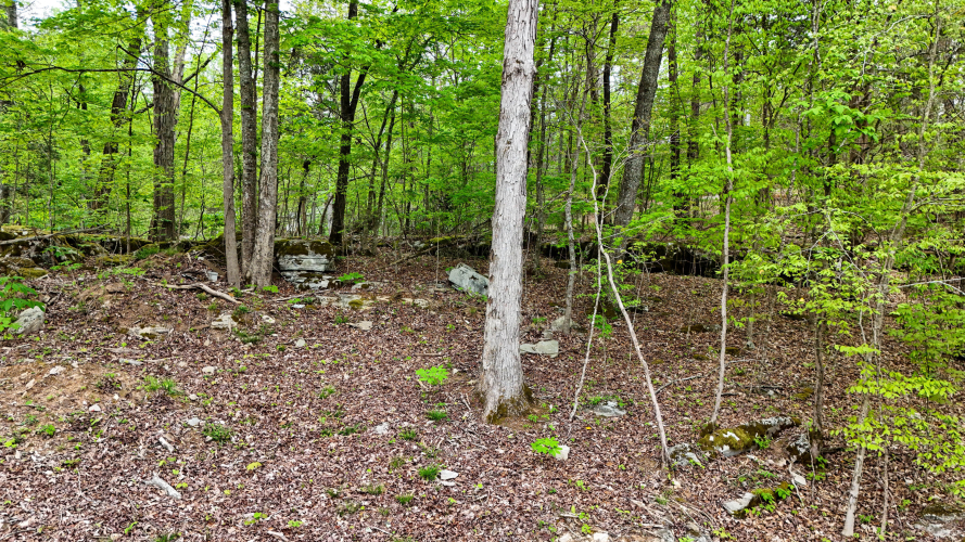 Listing Image 36