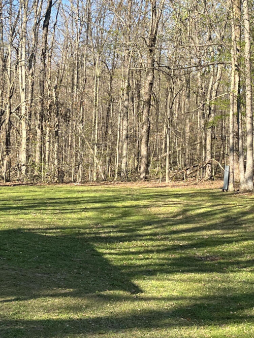 Listing Image 24