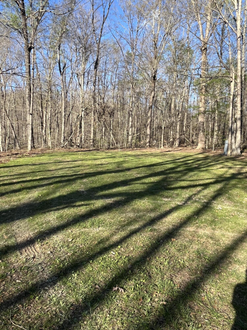 Listing Image 50