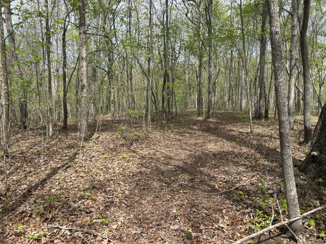 Listing Image 85