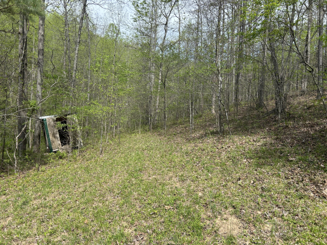 Listing Image 86