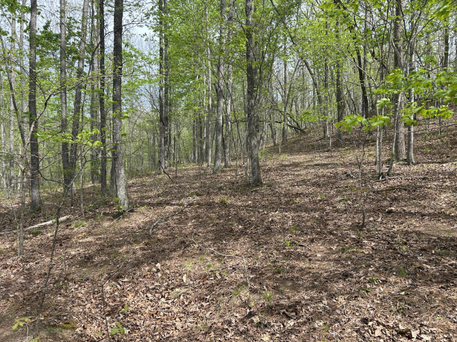 Listing Image 87