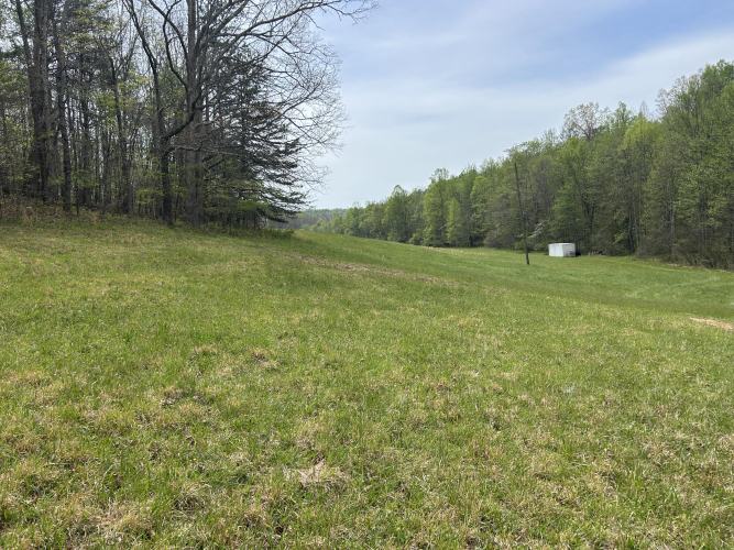 Listing Image 89