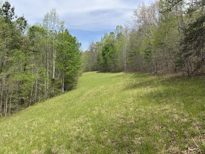 Listing Image 90