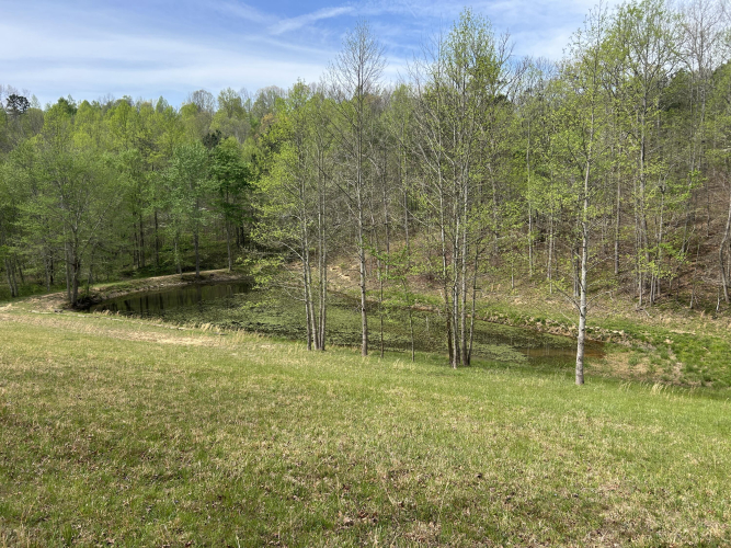 Listing Image 91